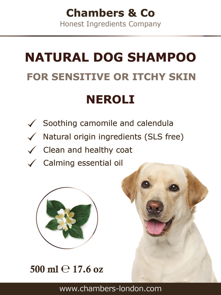 Best Natural Shampoo for Dogs Sensitive or Itchy Skin with Essential