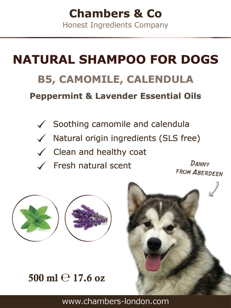 Best Natural Shampoo for Dogs Sensitive or Itchy Skin with Essential