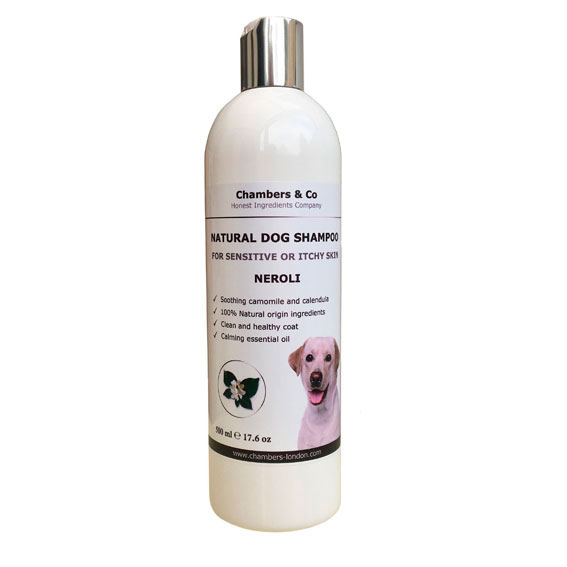 dog shampoos for itchy skin
